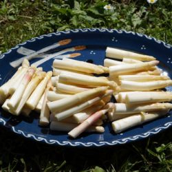 Plat à service pour asperge fabriqué avec l'argile de Soufflenheim